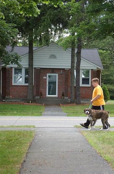 A young visitor walks a dog by a house at the former military base.