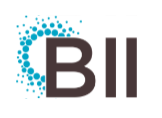 Boston Impact Initiative Logo